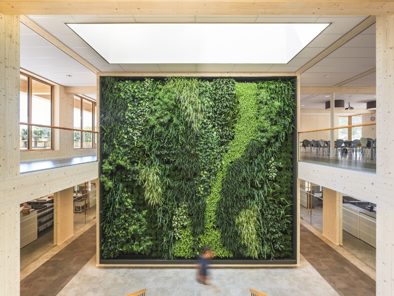 Illustration for article titled This Is the Most Sustainable Office in the WorldÂ